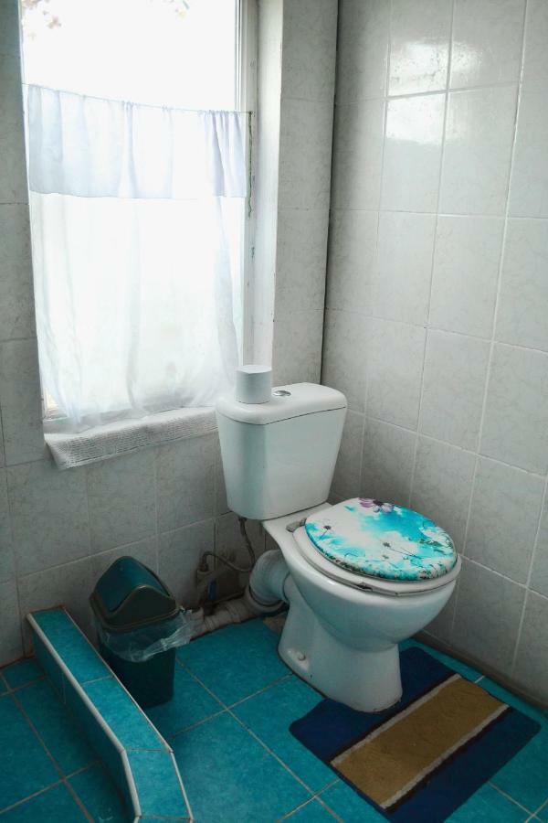 Guesthouse Bermet Tong 外观 照片