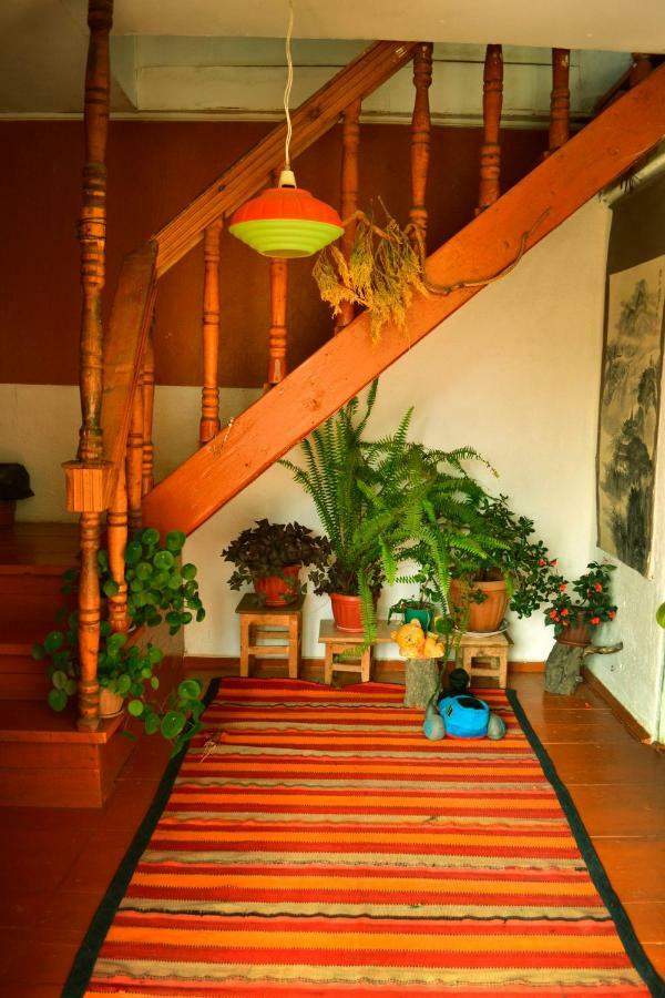 Guesthouse Bermet Tong 外观 照片